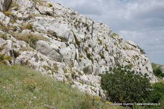 ntana Paradiso-15-05-2014 17-43-55